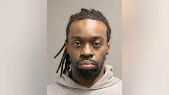 Chicago man throws dog off CTA platform in Lake View: police