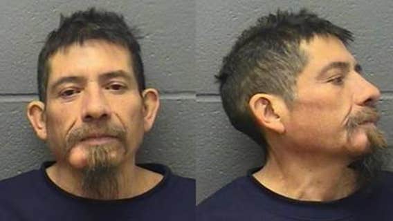 Elgin man accused of stabbing his brother to death