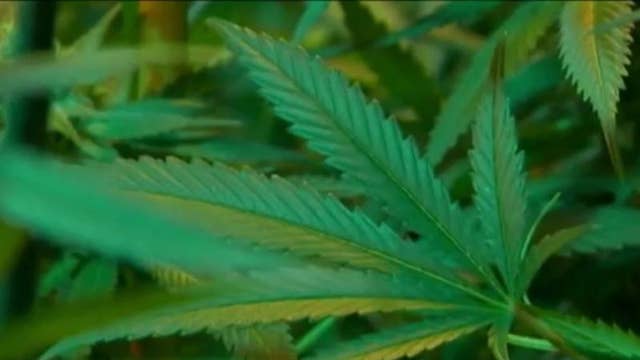 State leaders celebrate Illinois' first Black-owned marijuana dispensary