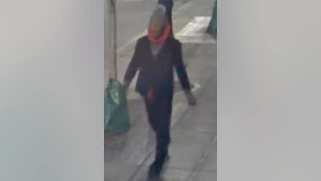 Suspect sought after groping woman in downtown Chicago: police