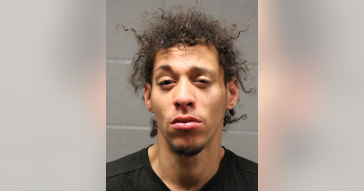 Chicago man charged with robbing 17-year-old girl in Humboldt Park ...