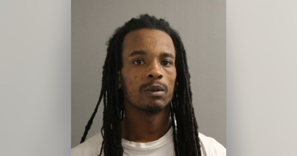 Chicago man charged with carjacking couple at gunpoint on West Side ...