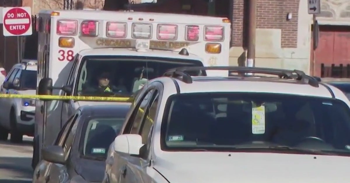 Mother of Chicago mass shooting victim speaks out, believes attack was ...