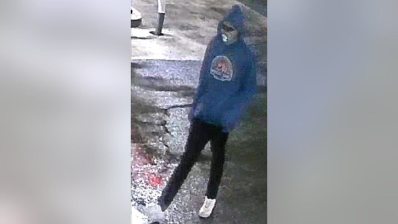 Hinsdale police Suspect stole unattended running car, used it to