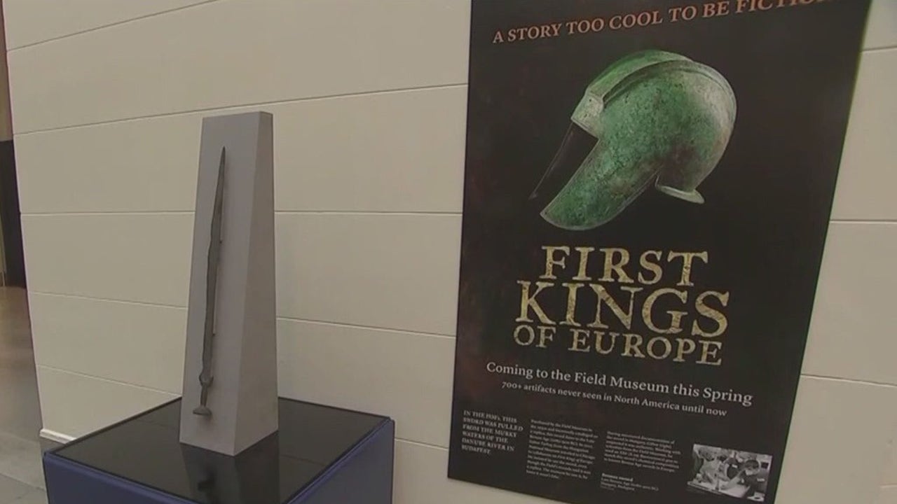 3,500yearold Bronze Age sword discovered at Chicago's Field Museum