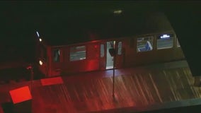 Concealed carry holder shoots man trying to rob him on Chicago CTA train