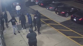 Group of 10 caught on camera breaking into Roselle dealership, stealing luxury vehicles