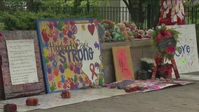 Highland Park activists, survivors to rally in Springfield