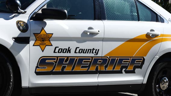 Woman struck by Cook County Sheriff's vehicle dies, identity released