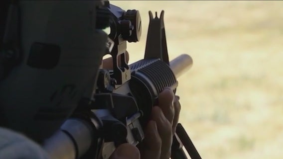 Illinois House Executive Committee passes assault weapons ban