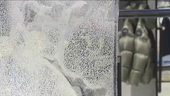 Thieves target Canada Goose on Mag Mile