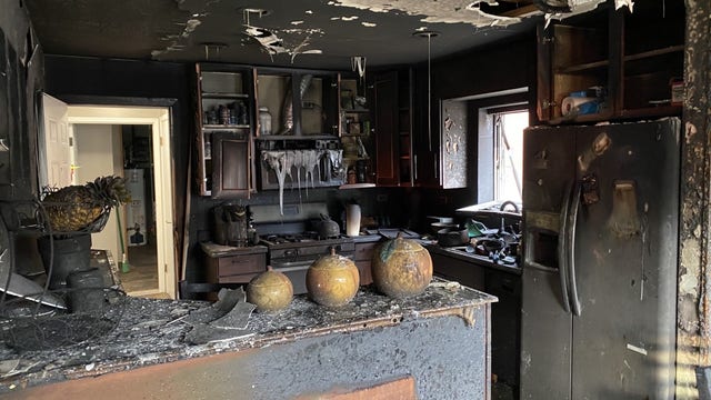 Dog killed in Des Plaines apartment fire