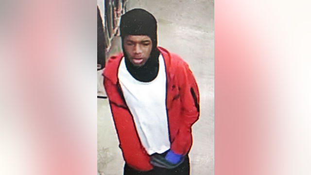 Chicago police ask public's help finding person of interest in South Side car theft