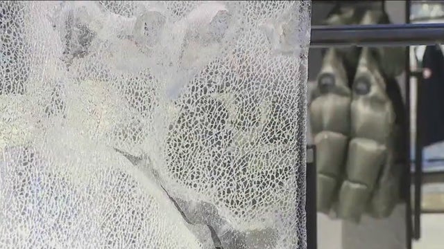 Thieves target Canada Goose on Mag Mile