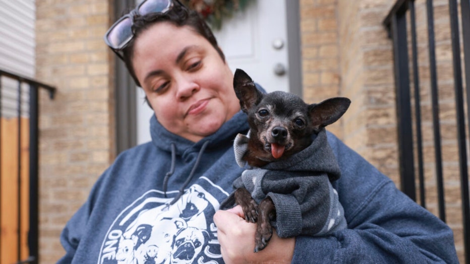 Chicago Cubs on X: #Cubs associates walked dogs today from the Chicago  Canine Rescue's shelter! #LetsGive 🐶  / X