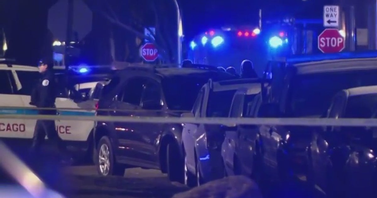 Chicago police fatally shoot man after officers called to Irving Park ...