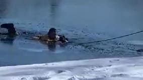 Libertyville firefighters rescue dog from icy pond