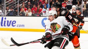 Ducks snap Blackhawks' 5-game win streak with 4-2 victory