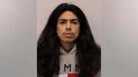 Pair of teens charged after guns found during Mount Prospect traffic stop