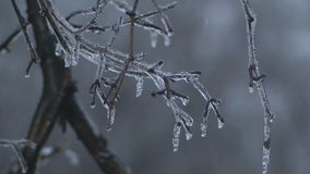 Chicago weather: Ice, rain and strong winds combine for winter storm