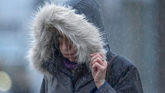 Wind advisory issued for northeast Illinois until Wednesday afternoon