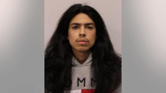 Pair of teens charged after guns found during Mount Prospect traffic stop