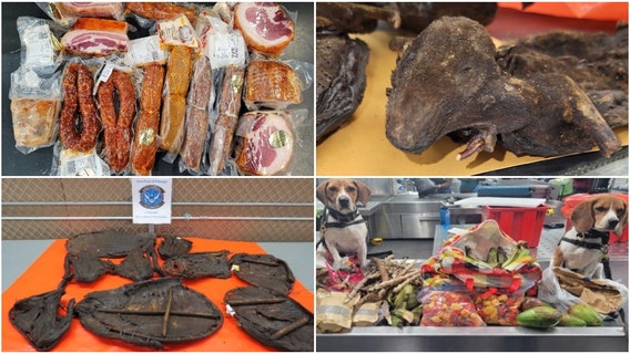Dried rodents, Italian meats, confiscated by customs officers at O'Hare
