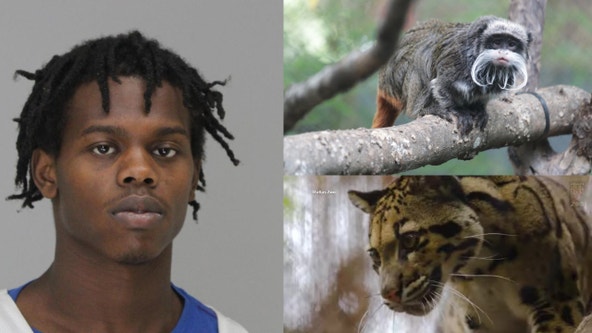 Dallas Zoo Arrest: Man facing charges in connection to monkey disappearance, leopard escape