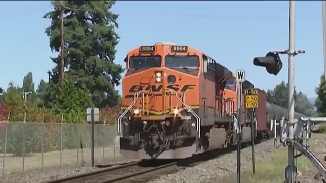 Chicago-area mayors call for proposed freight rail merger to be delayed