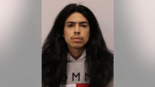 Pair of teens charged after guns found during Mount Prospect traffic stop