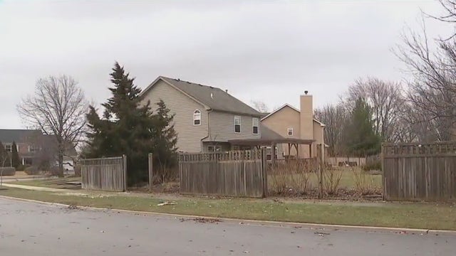 Brief tornadoes knock down trees, fences in DuPage and Will counties