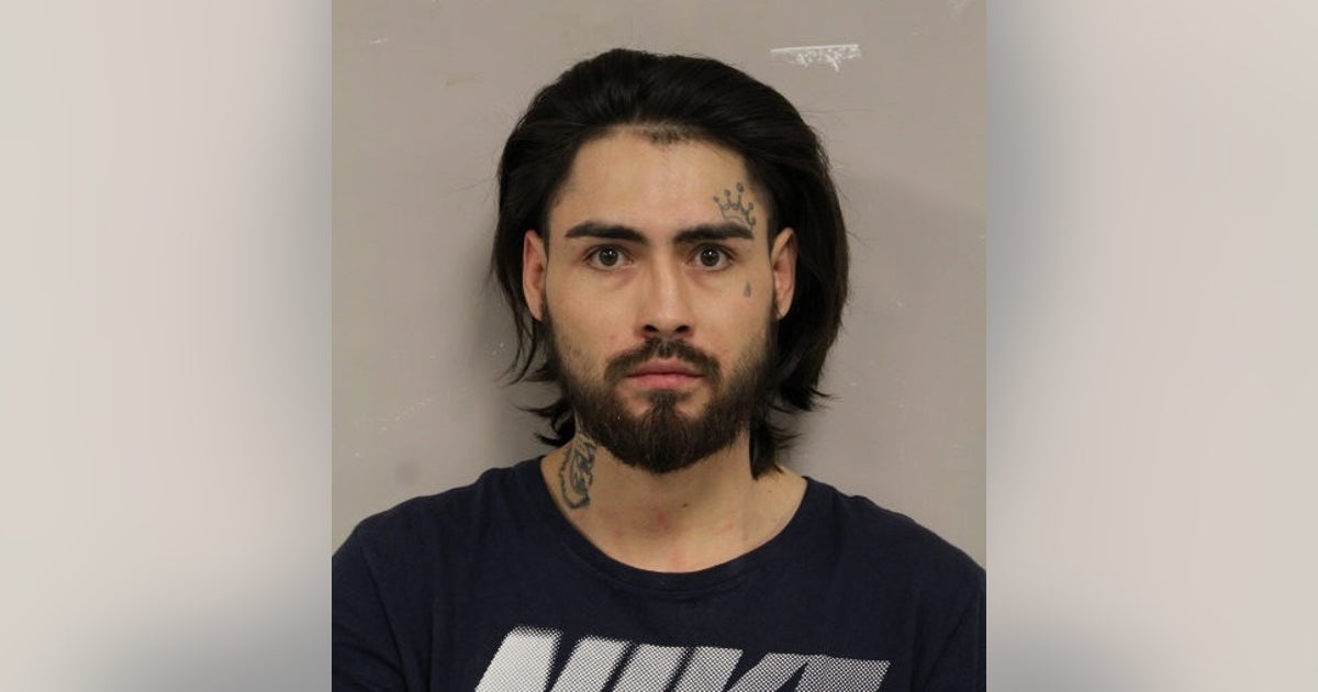 Cook County man charged with shooting person trying to break up fight ...