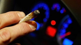 Illinois bill would bar police from searching vehicles over marijuana odor