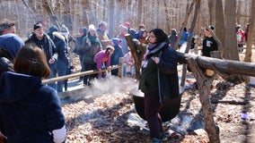 Hundreds attend Maple Syrup Festival at River Trail Nature Center in Northbrook
