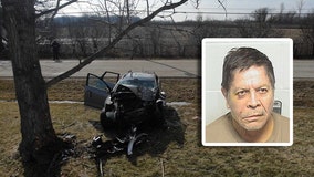 Illinois man intentionally drove car into tree during argument with passenger: sheriff's office
