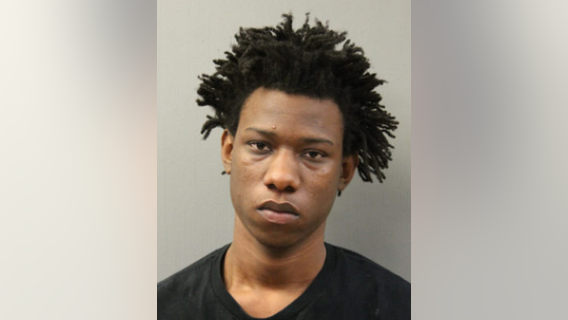 Chicago man charged in Bucktown armed carjacking: police