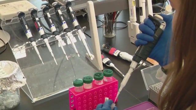 Medical researchers work to create fentanyl vaccine to fight nation's opioid epidemic