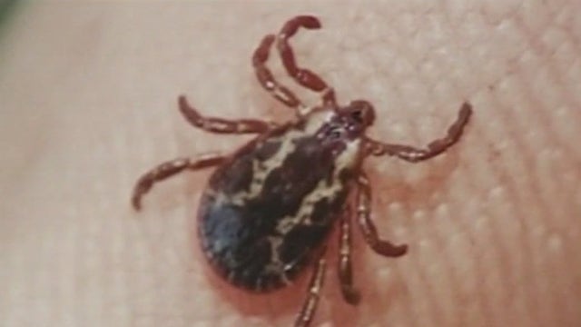 Illinois in 'At Risk' category for tick-borne disease