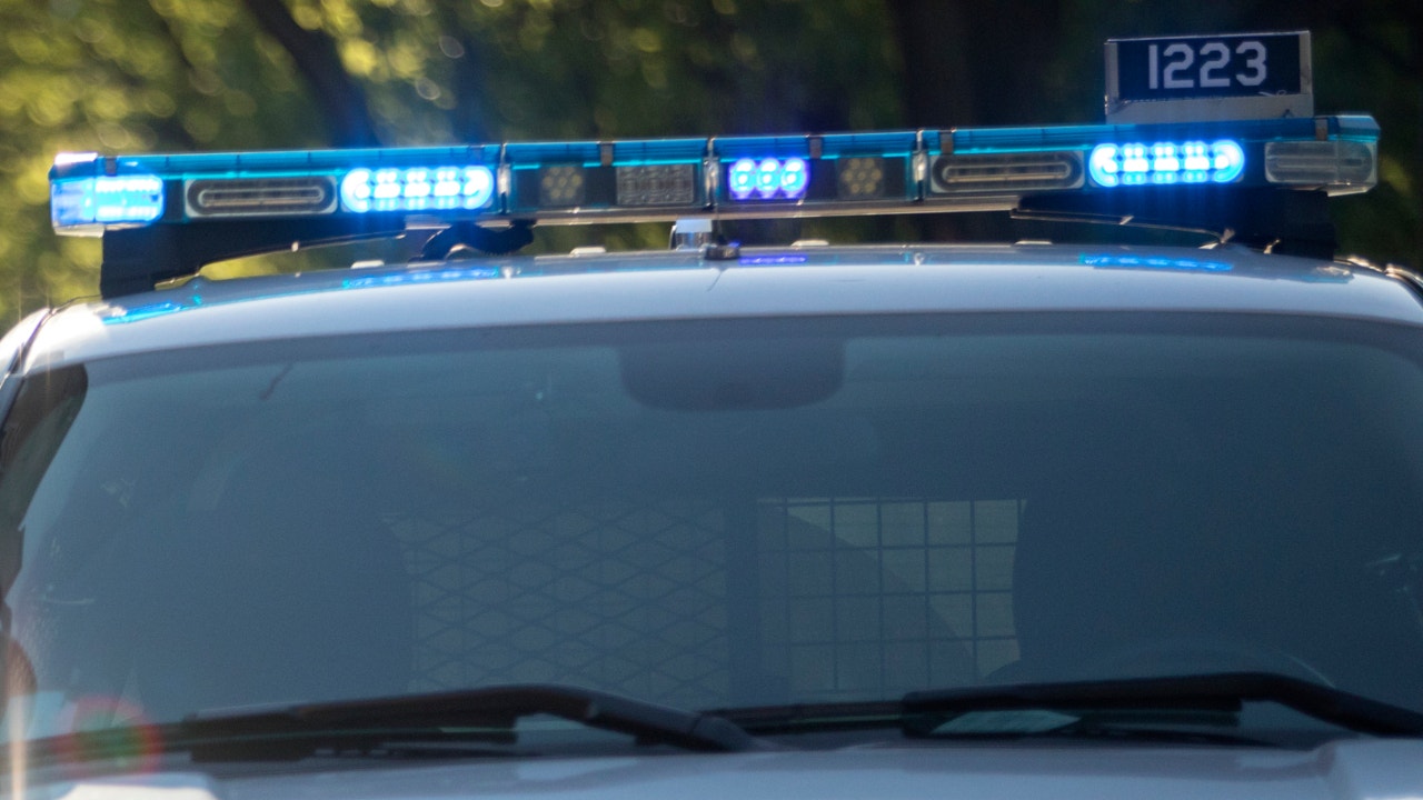 Woman found dead near bar in far south suburbs, death ruled homicide: sheriff