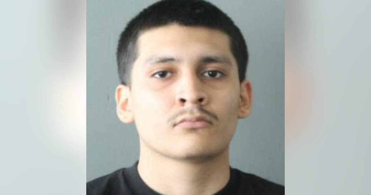 Cook County man shot vehicle during road rage incident on I-94: police ...