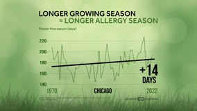 Chicago's allergy seasons are starting earlier and lasting longer