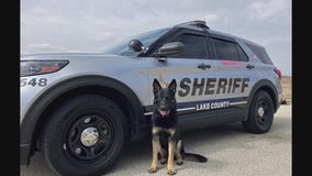 Donation helps fit Lake County's K9 with body armor