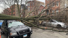 Chicago area weather: Photos, videos show golf ball-sized hail, trees falling on vehicles