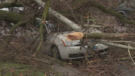 3 buildings in Humboldt Park, Old Town sustain roof damage, trees fall on vehicles due to heavy winds