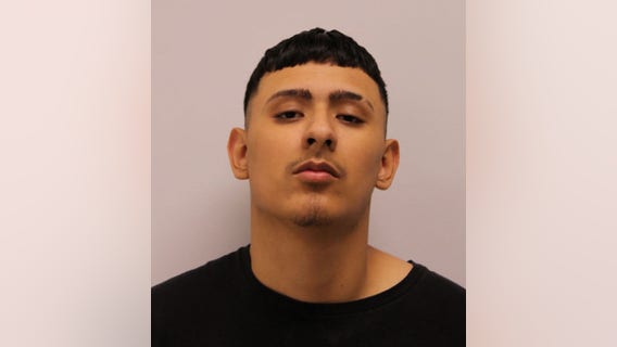 Cook County man charged with mob action, teen charged with possessing ghost gun in Mount Prospect