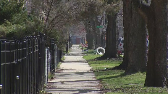 Dog taken from owner at gunpoint in Chatham