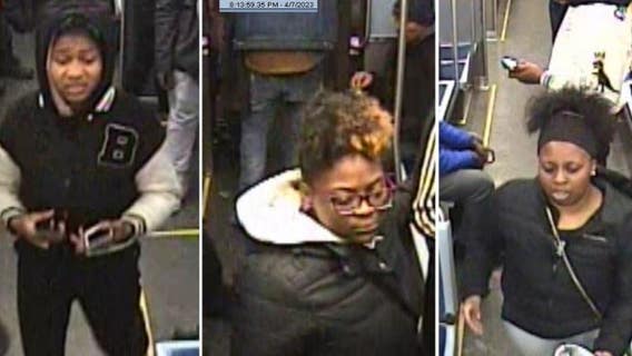 Chicago police seeking to identify group in CTA Red Line robbery