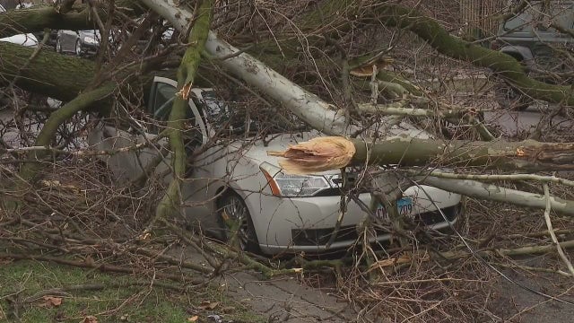 3 buildings in Humboldt Park, Old Town sustain roof damage, trees fall on vehicles due to heavy winds