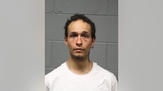 Chicago man charged with stabbing elderly man in attempted robbery at CTA station: police