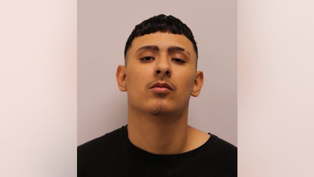 Cook County man charged with mob action, teen charged with possessing ghost gun in Mount Prospect